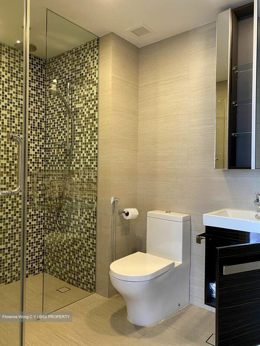 Sant Ritz (D13), Condominium #565615321